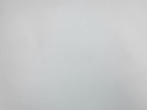 Claudia Netzer, eine Person mit kurzem, dunklem Haar und einem neutralen Gesichtsausdruck, vor einem hellen Hintergrund.